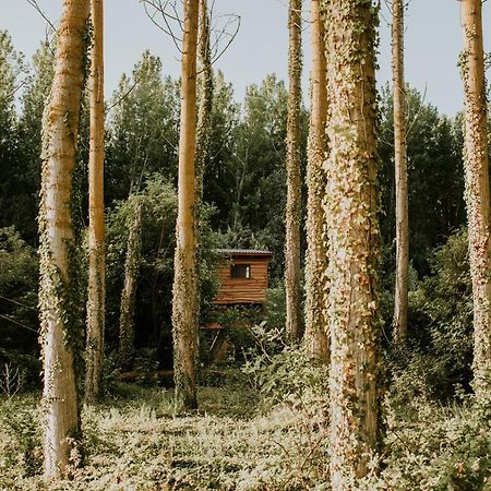Bonita Cabana De Los Arboles En La Rioja , Durmiendo Entre Arboles Anguciana Extérieur photo