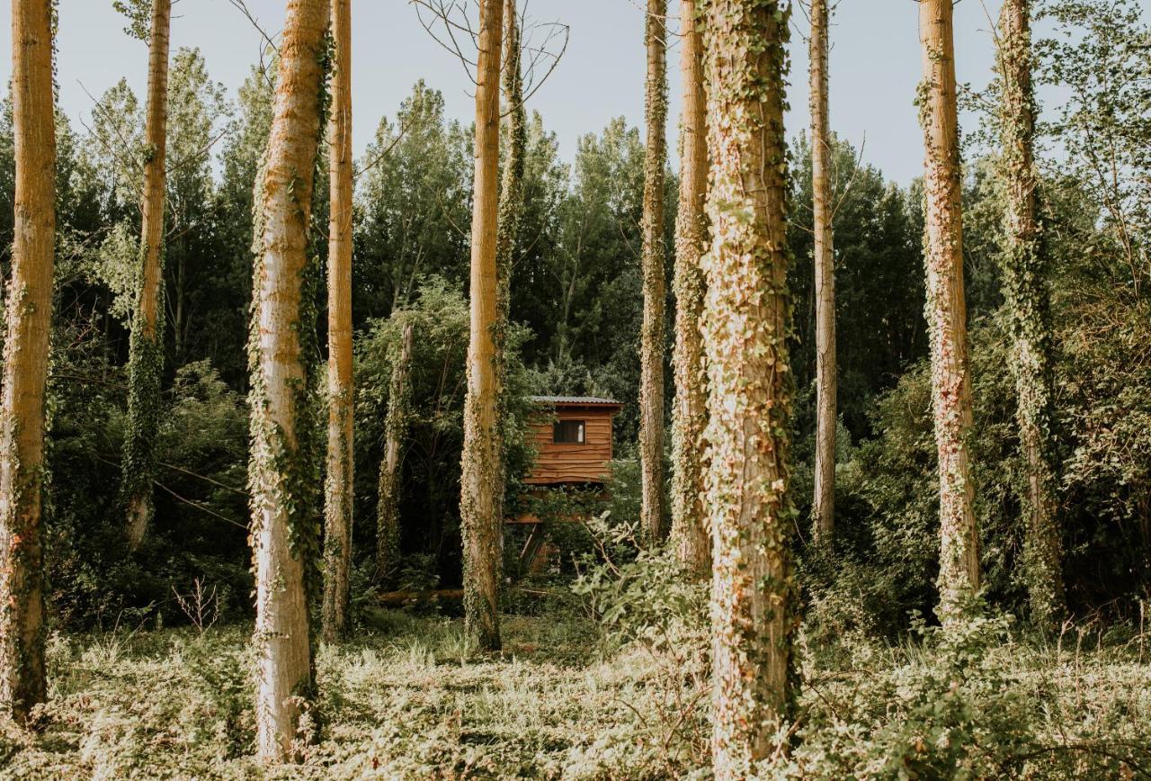Bonita Cabana De Los Arboles En La Rioja , Durmiendo Entre Arboles Anguciana Extérieur photo