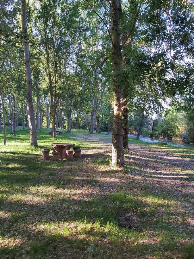Bonita Cabana De Los Arboles En La Rioja , Durmiendo Entre Arboles Anguciana Extérieur photo