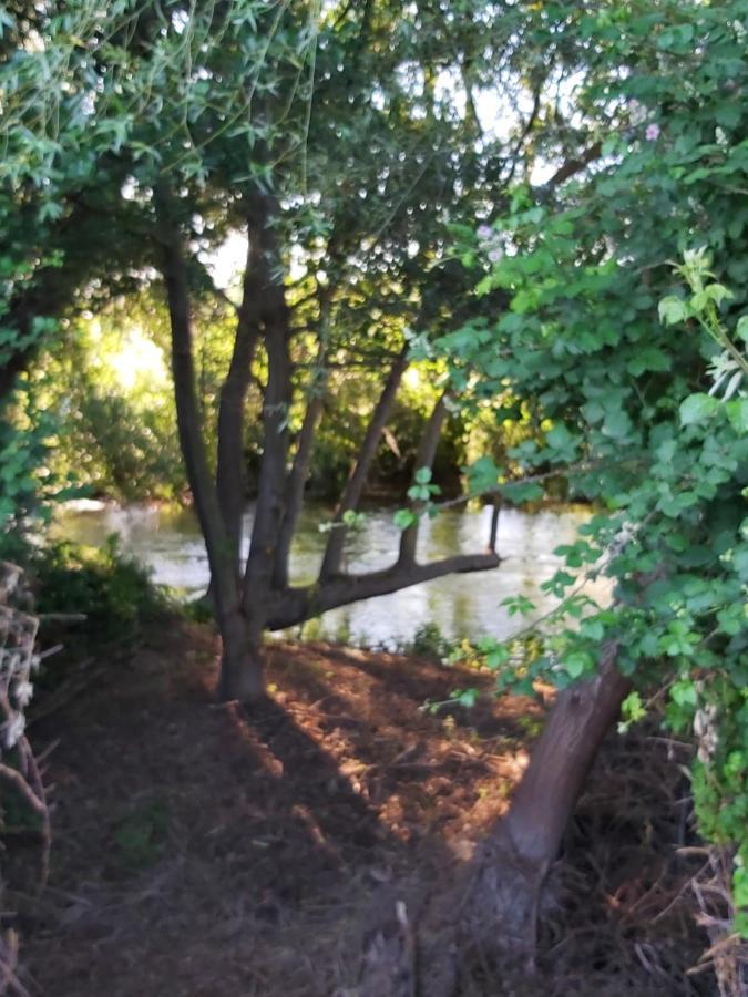 Bonita Cabana De Los Arboles En La Rioja , Durmiendo Entre Arboles Anguciana Extérieur photo